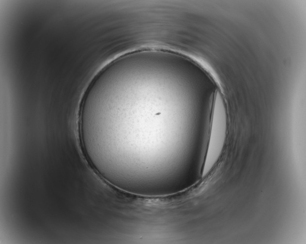 X0000088170903200705291929