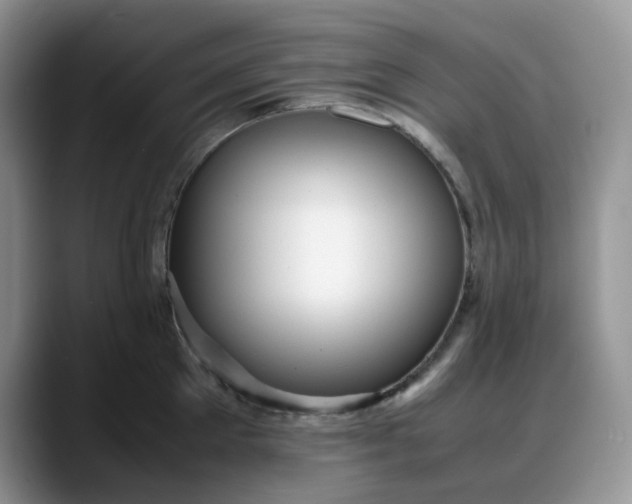 X0000088170905200705291929