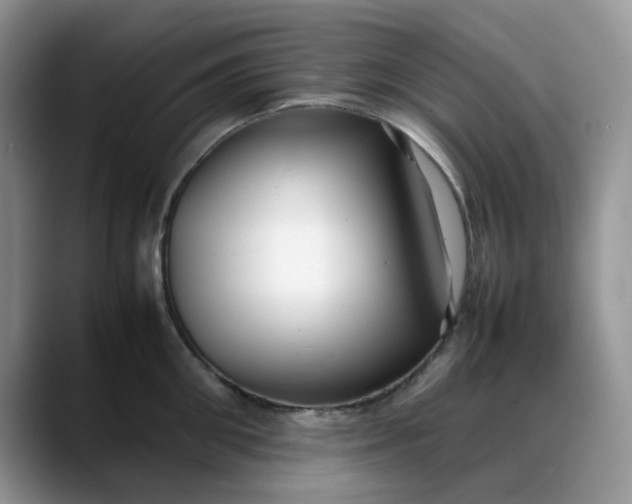 X0000088170906200705291929