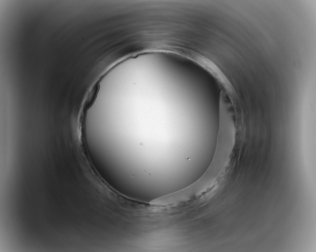 X0000088170908200705291929