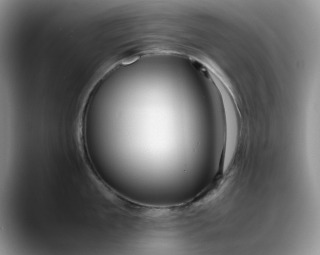 X0000088170909200705291929