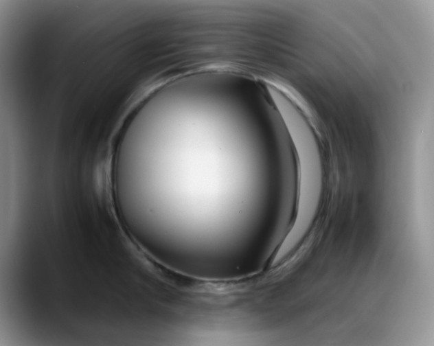 X0000088170910200705291929