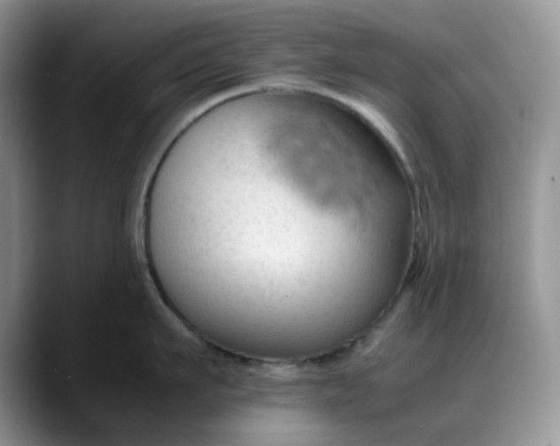 X0000088170911200705291929