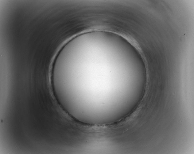 X0000088170912200705291929