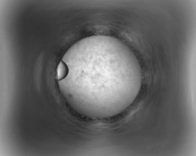 X0000088170913200705291928