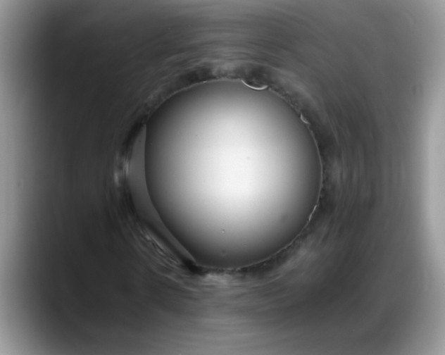 X0000088170914200705291928