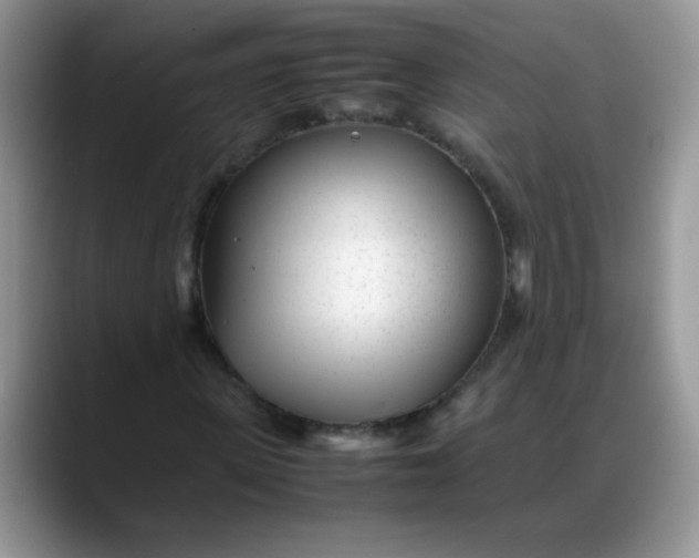 X0000088170915200705291928