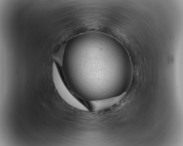 X0000088170916200705291928