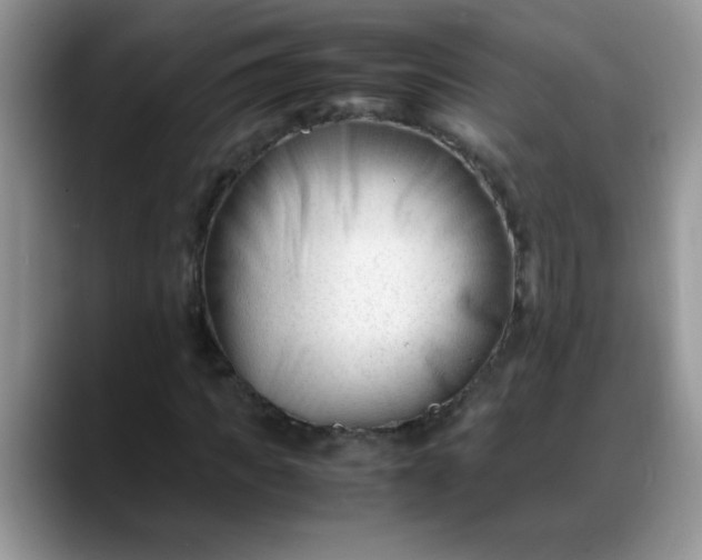 X0000088170917200705291928