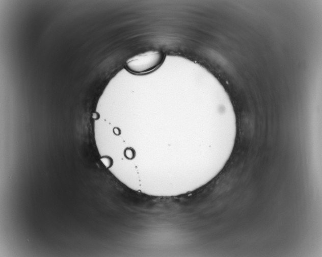 X0000088170918200705291928