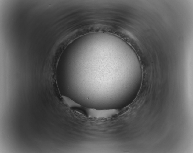 X0000088170919200705291928