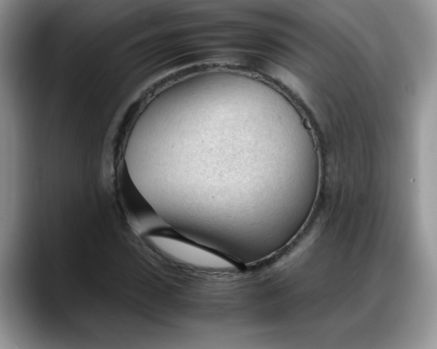 X0000088170923200705291928