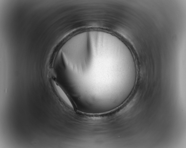 X0000088170925200705291929