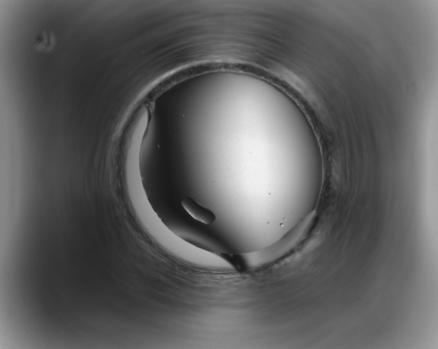 X0000088170926200705291929