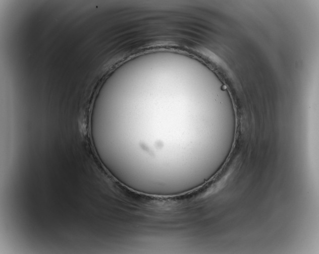 X0000088170929200705291929