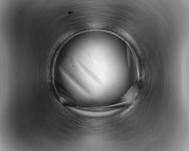 X0000088170930200705291929