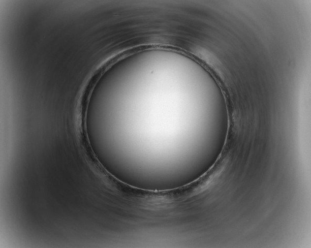 X0000088170931200705291929