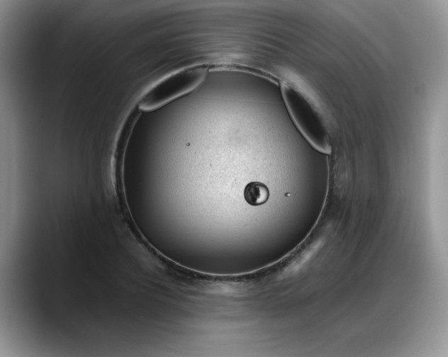 X0000088170932200705291929