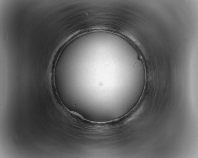 X0000088170933200705291929