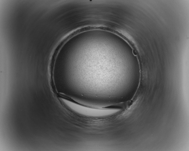 X0000088170935200705291929