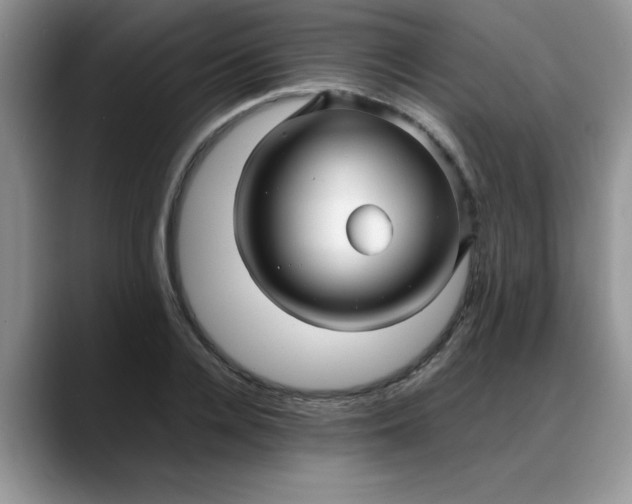 X0000088170936200705291929