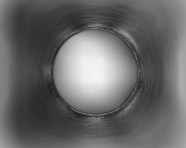 X0000088170937200705291929