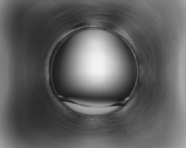 X0000088170939200705291929