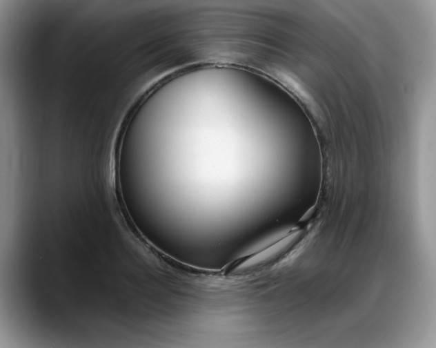 X0000088170940200705291929