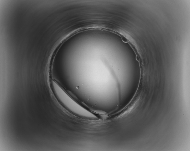 X0000088170941200705291929