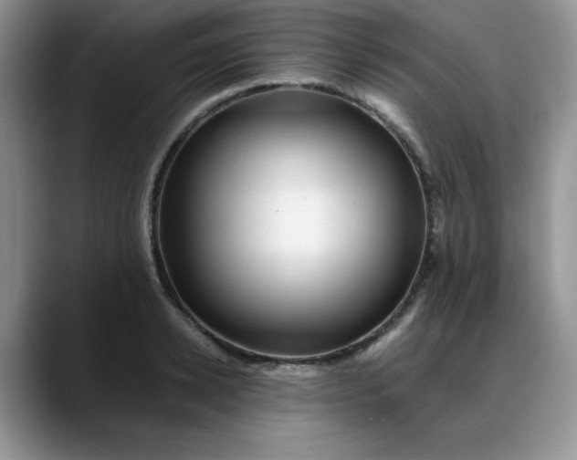 X0000088170942200705291929