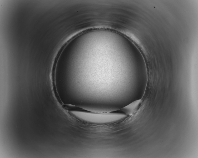 X0000088170943200705291929