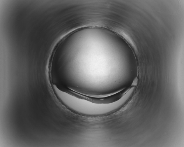 X0000088170944200705291929