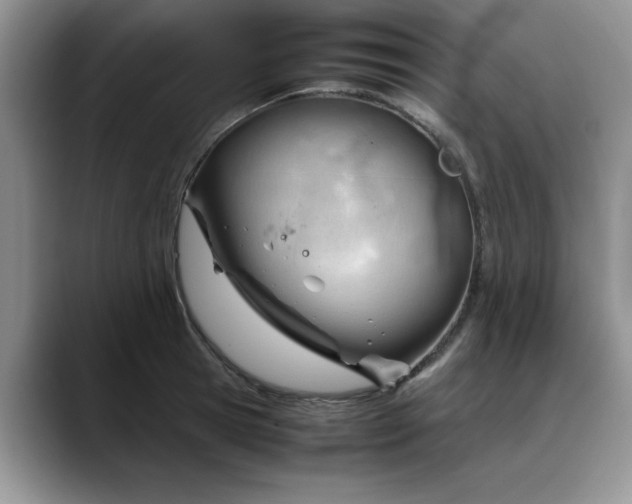 X0000088170945200705291929