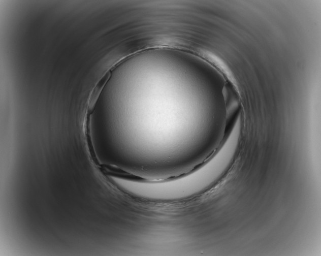 X0000088170946200705291929