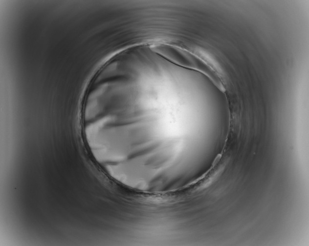 X0000088170948200705291929