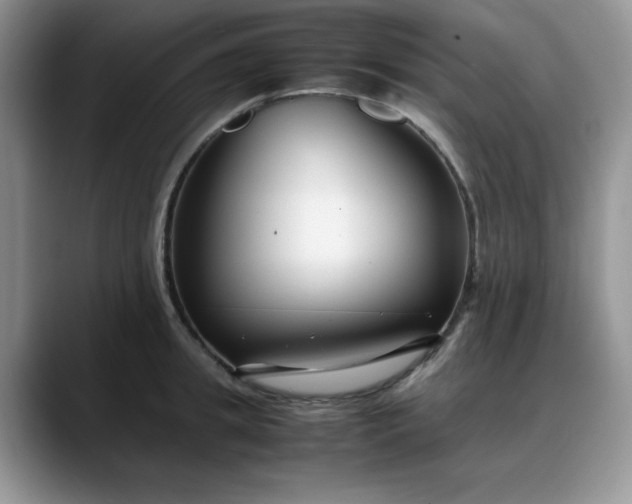 X0000088170949200705291929