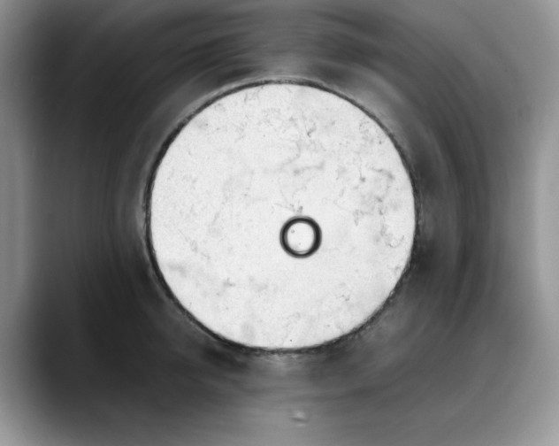 X0000088170950200705291929