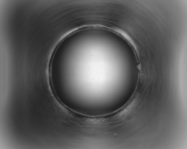 X0000088170951200705291929