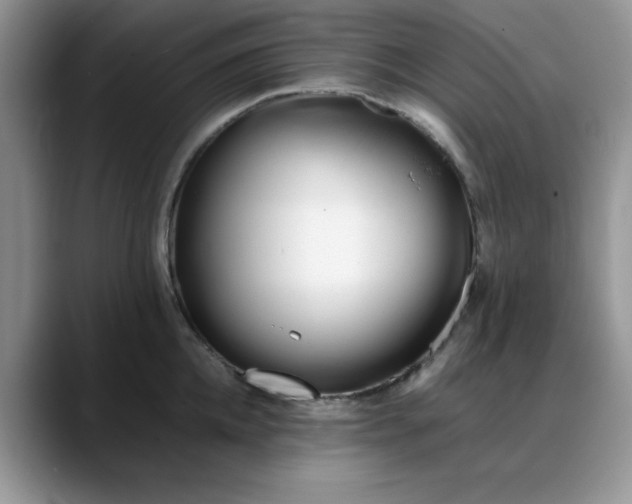 X0000088170952200705291929