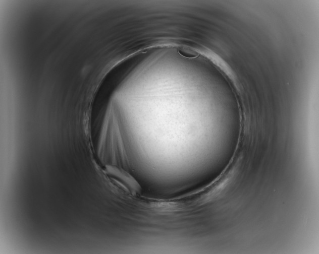 X0000088170953200705291929