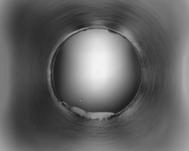 X0000088170955200705291929