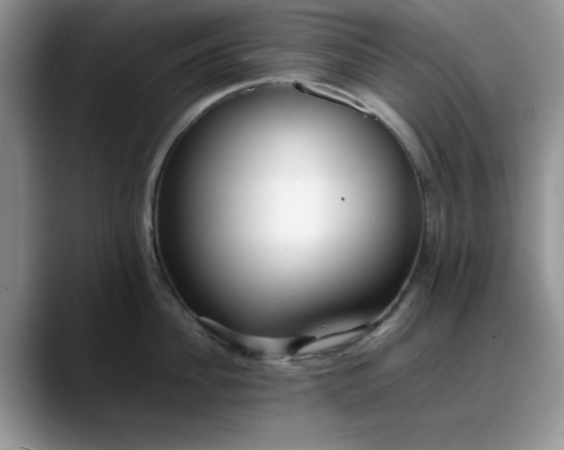 X0000088170956200705291929