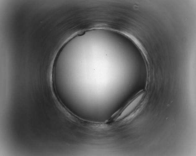 X0000088170957200705291929