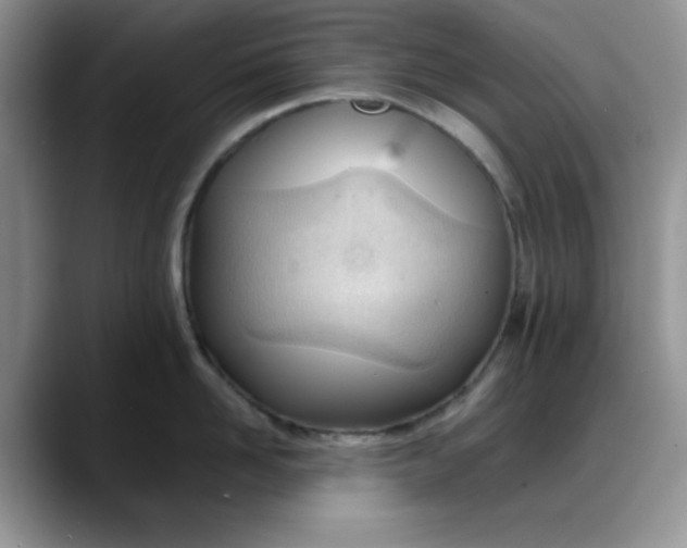 X0000088170958200705291929