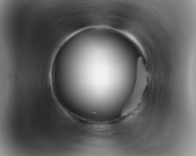 X0000088170959200705291929