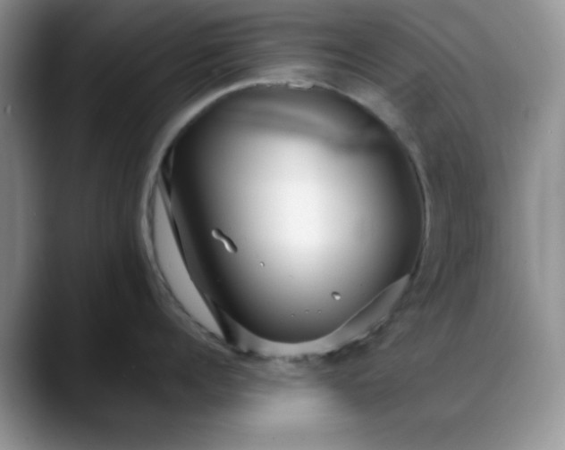 X0000088170960200705291929