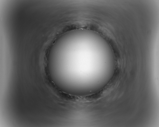 X0000088170961200705291928