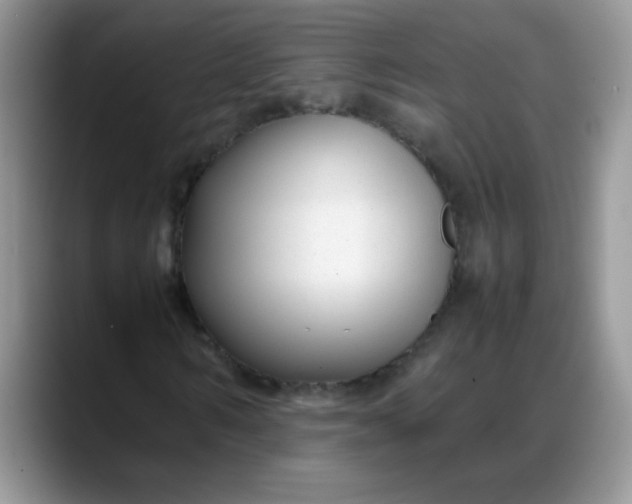 X0000088170962200705291928