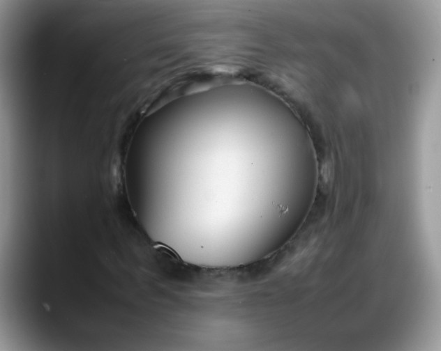 X0000088170963200705291928