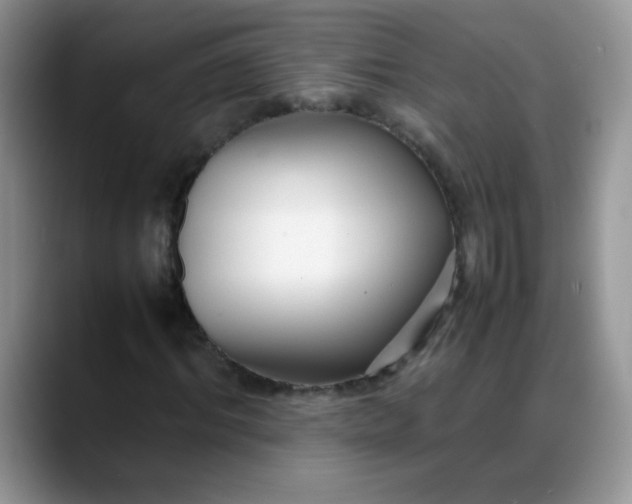 X0000088170964200705291928